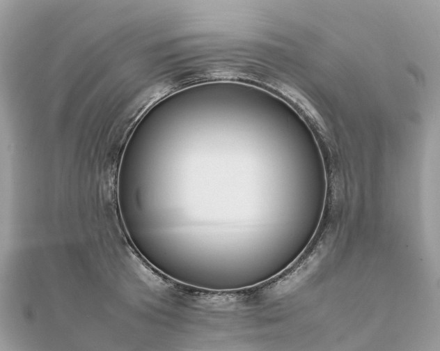 X0000111850801200907301109