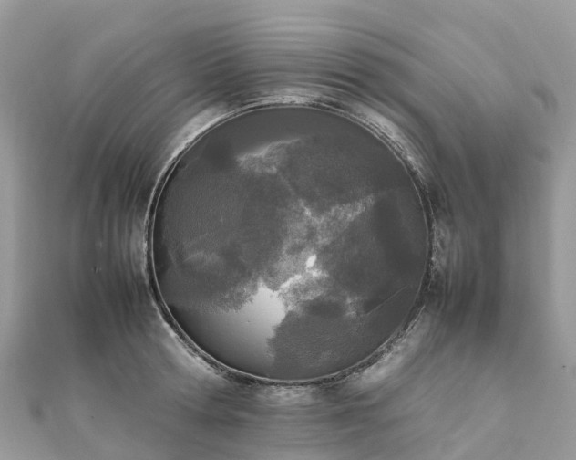 X0000111850802200907301109