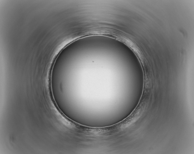 X0000111850803200907301109