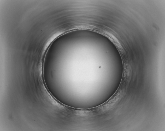 X0000111850804200907301109