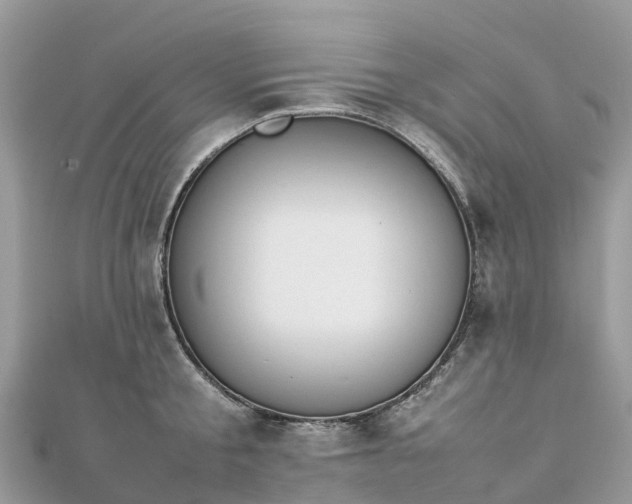 X0000111850805200907301109