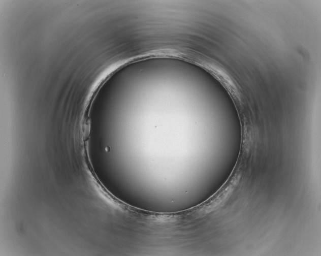 X0000111850808200907301109