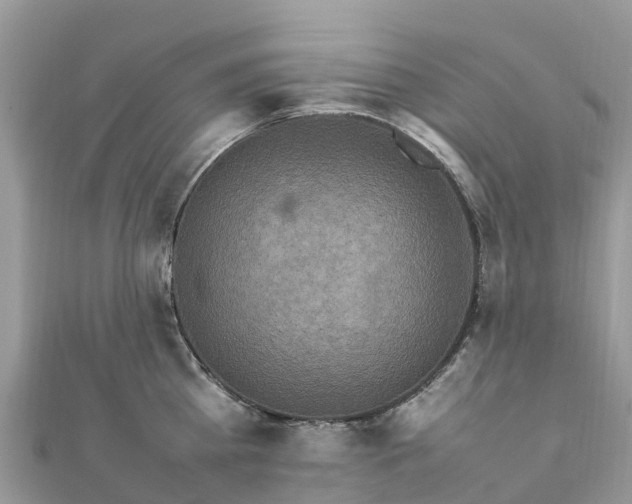 X0000111850809200907301109
