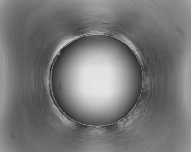 X0000111850811200907301109