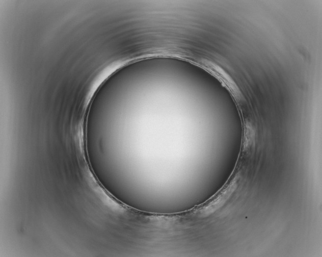 X0000111850812200907301109