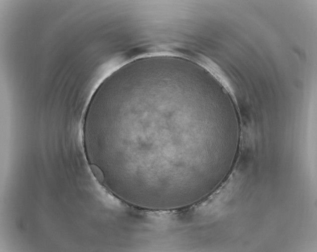 X0000111850813200907301109