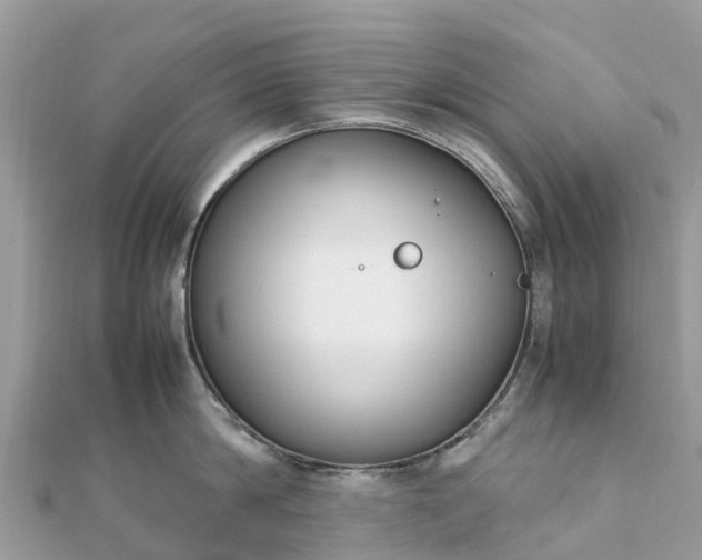 X0000111850814200907301109