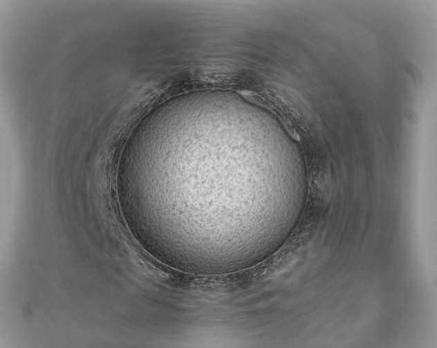 X0000111850817200907301109