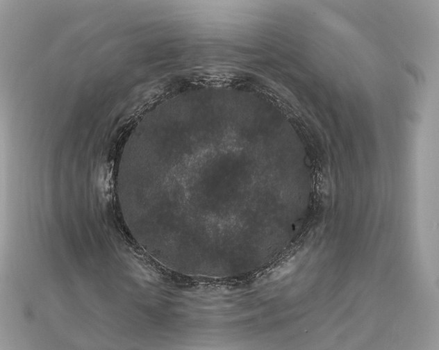 X0000111850818200907301109