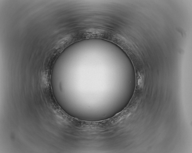 X0000111850819200907301109