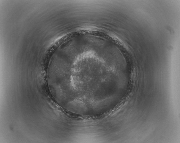 X0000111850822200907301109