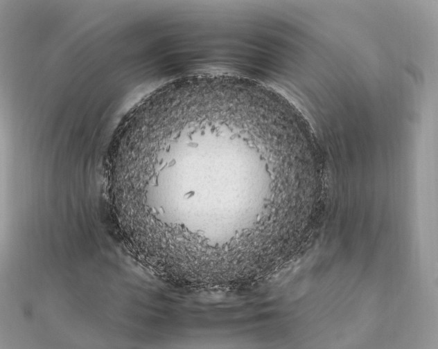 X0000111850823200907301109