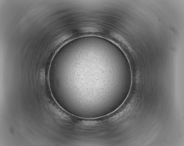 X0000111850825200907301109