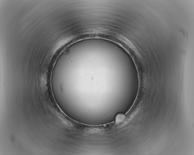 X0000111850826200907301109