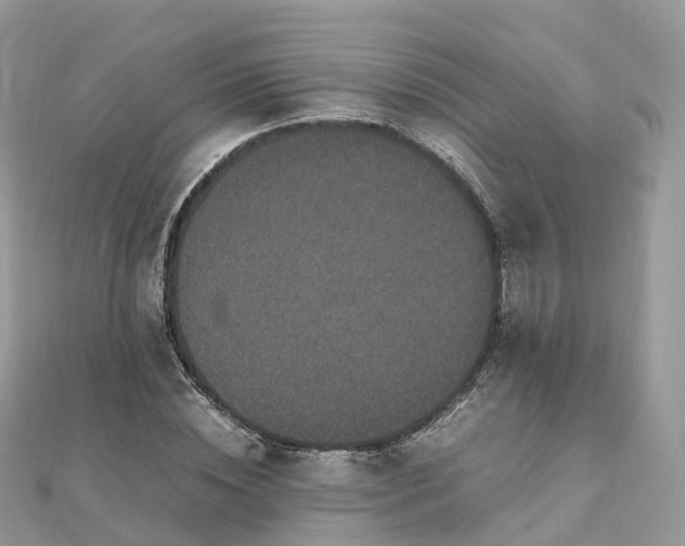 X0000111850828200907301109