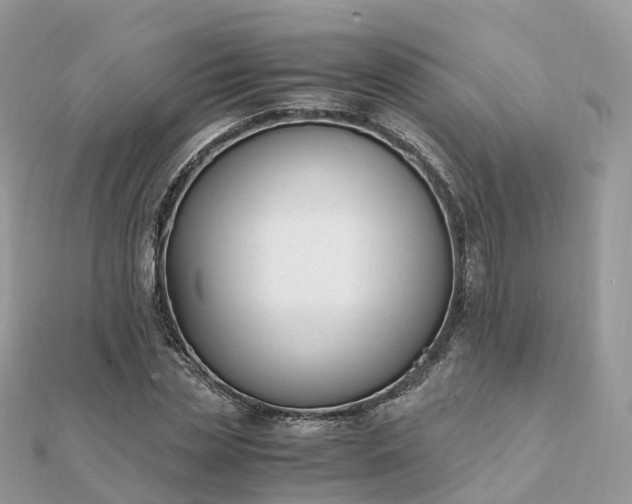 X0000111850829200907301109