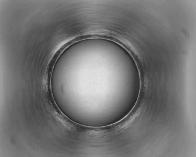 X0000111850830200907301109
