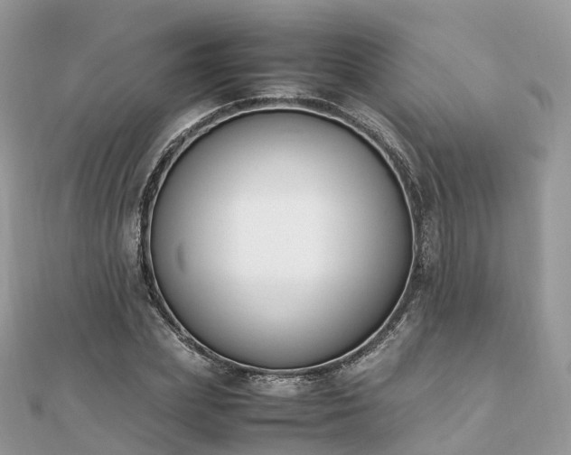 X0000111850831200907301109