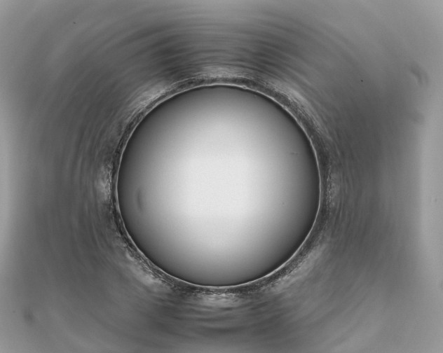 X0000111850833200907301109