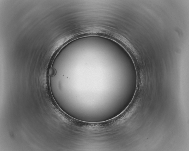 X0000111850834200907301109
