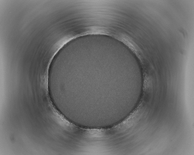 X0000111850836200907301109
