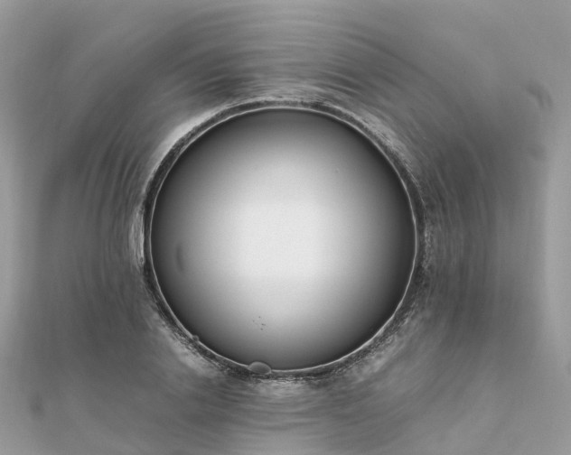 X0000111850838200907301109