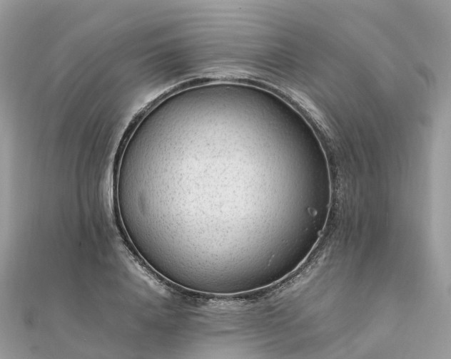 X0000111850840200907301109