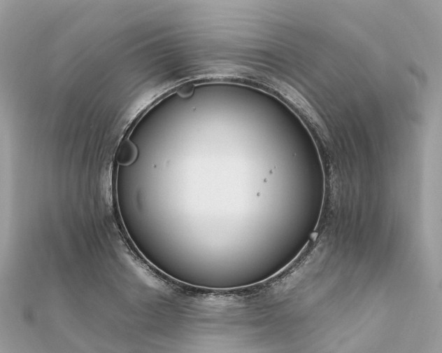 X0000111850842200907301109