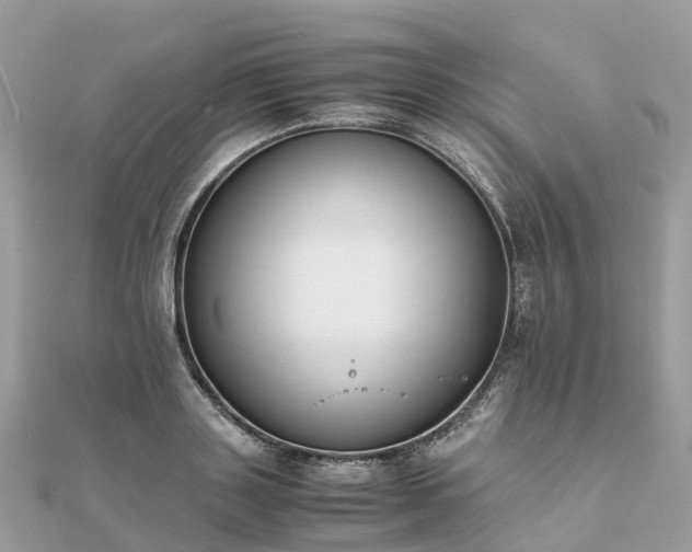 X0000111850843200907301109