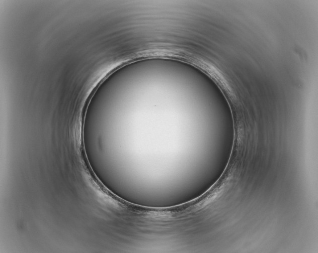 X0000111850844200907301109