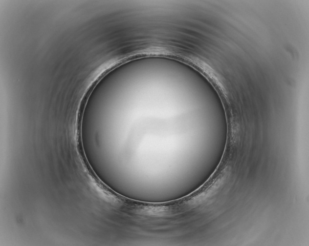 X0000111850845200907301109