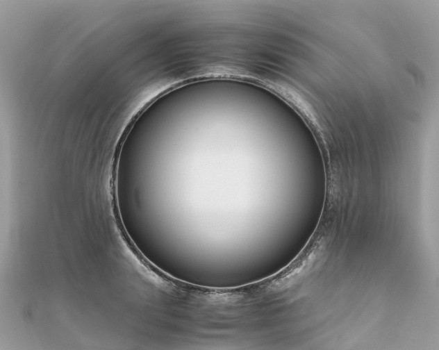 X0000111850847200907301109