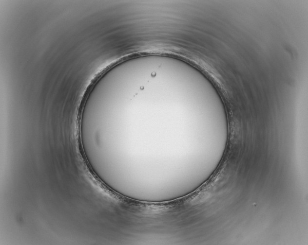X0000111850848200907301109