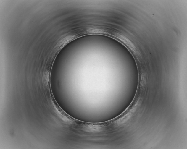 X0000111850849200907301109