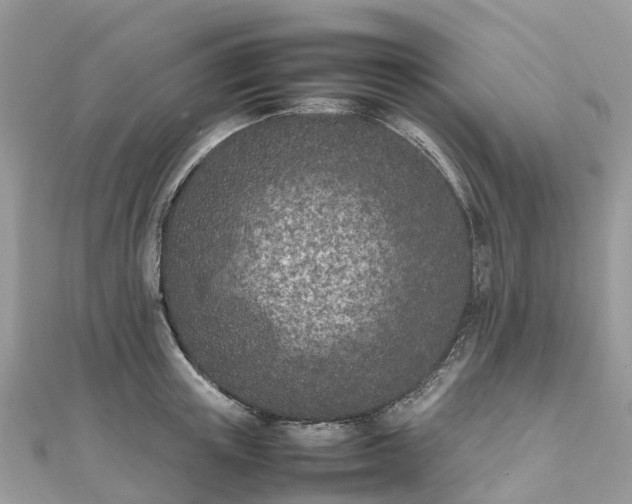 X0000111850851200907301109