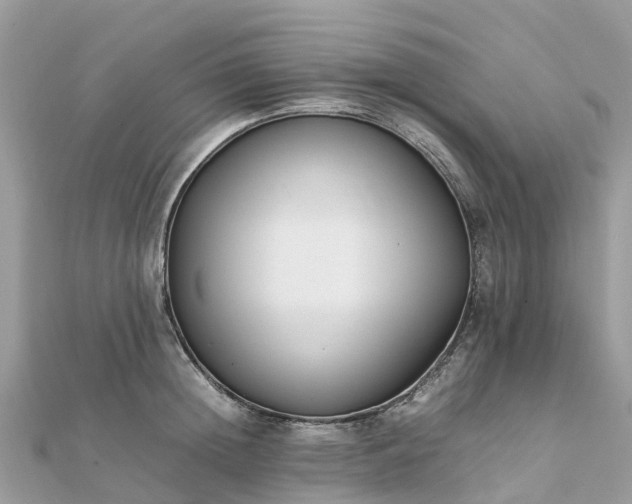 X0000111850852200907301109