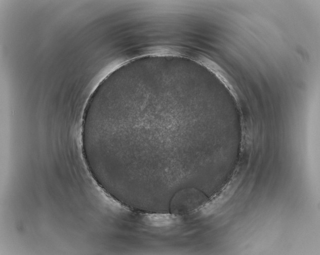 X0000111850853200907301109