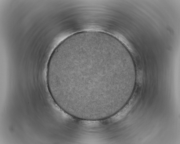X0000111850856200907301109