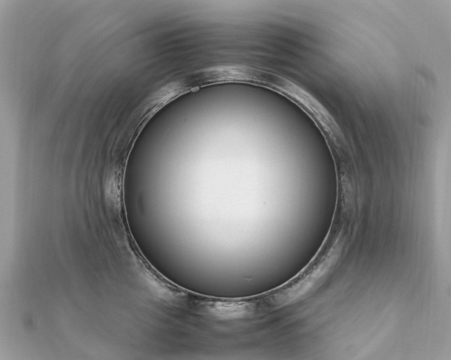 X0000111850857200907301109