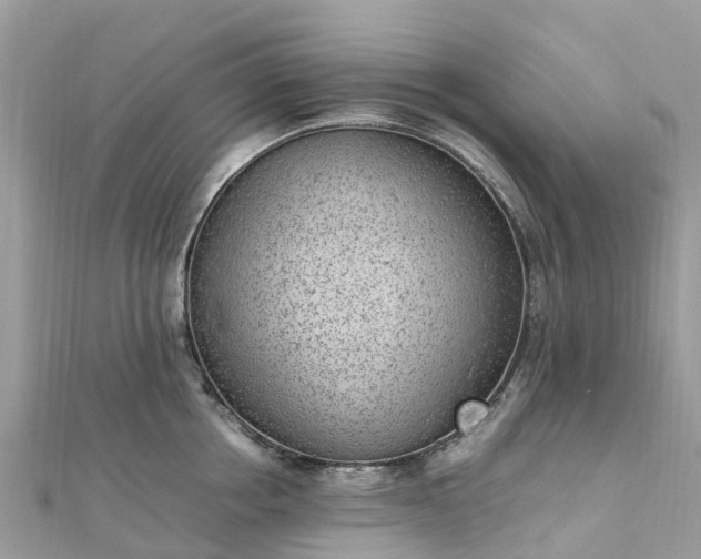 X0000111850858200907301109