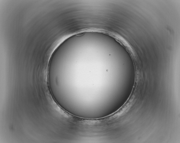 X0000111850860200907301109