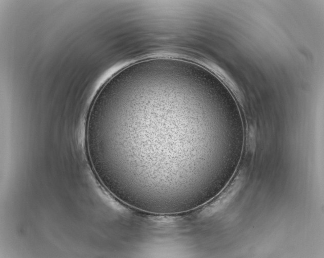 X0000111850862200907301109