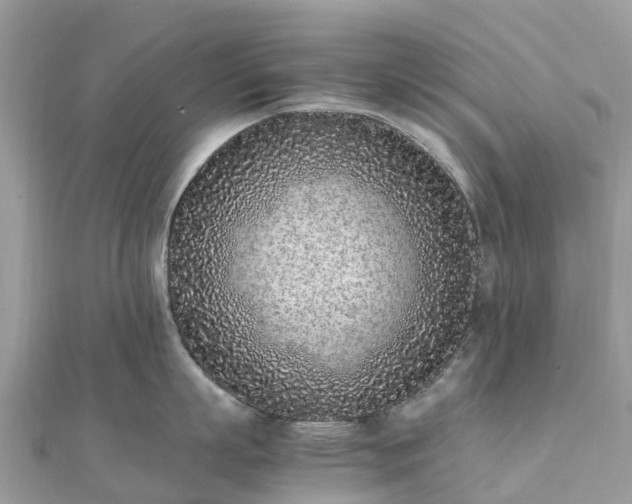 X0000111850863200907301109