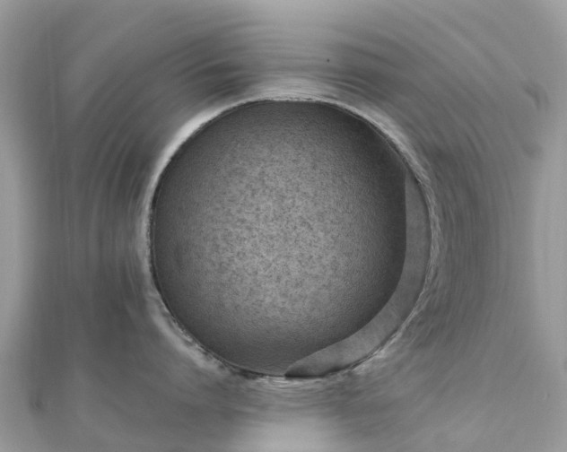 X0000111850864200907301109