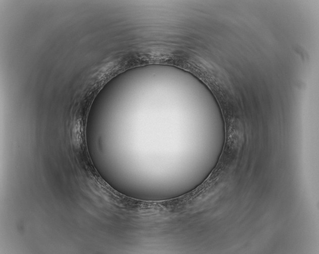 X0000111850866200907301109