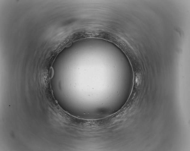 X0000111850867200907301109