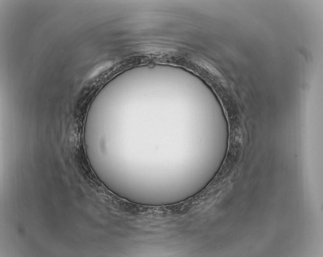 X0000111850869200907301109