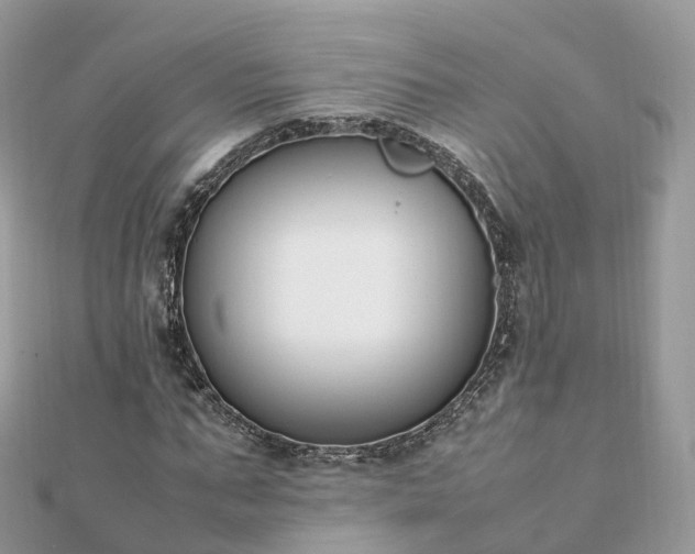 X0000111850871200907301109