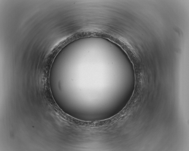 X0000111850872200907301109