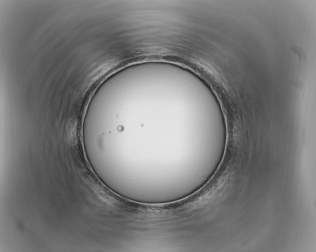 X0000111850873200907301108